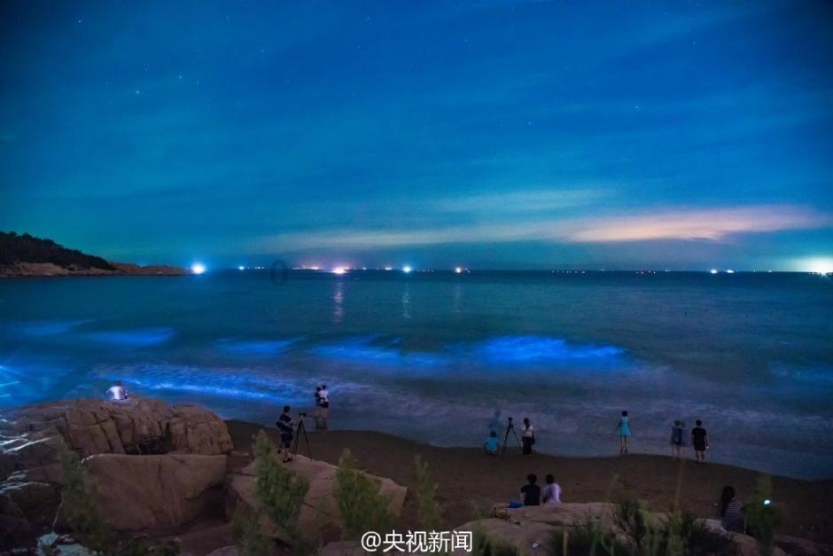 可爱小猫的发廊